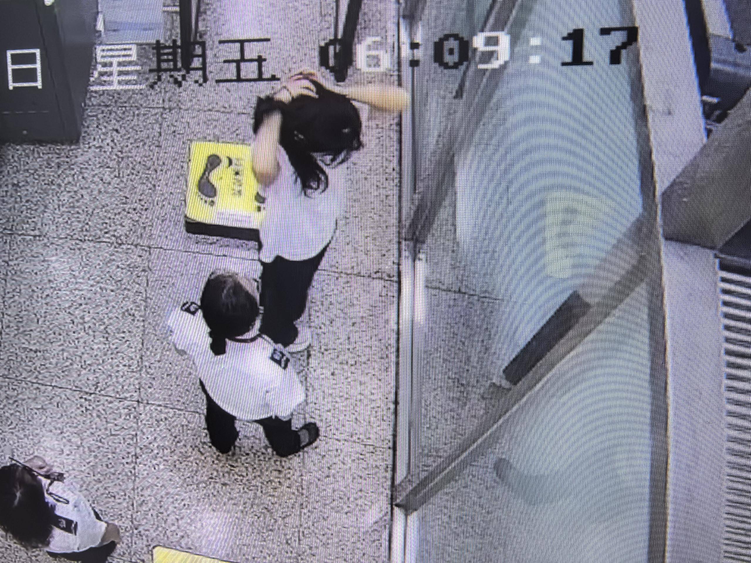 皇冠信用網怎么申请_女子将宠物乌龟藏在蝴蝶结盘发内皇冠信用網怎么申请，过安检乘飞机时被查 警方：批评教育