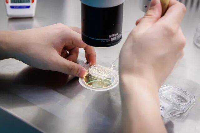 皇冠信用盘会员开户_一婴儿出生就15岁皇冠信用盘会员开户！被称为“最老婴儿”