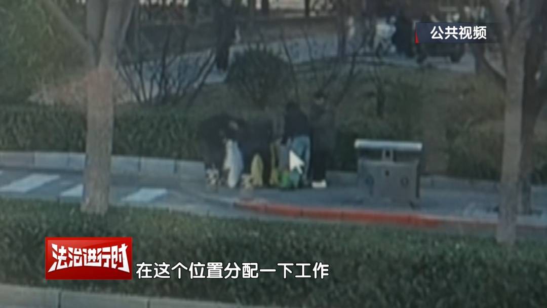 皇冠信用网代理_北京警方刑拘4人：父亲带着儿子和女儿“扫楼式盗窃快递”