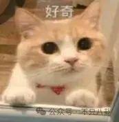 皇冠信用网代理_要结婚了皇冠信用网代理？恋情居然瞒了整整六年......